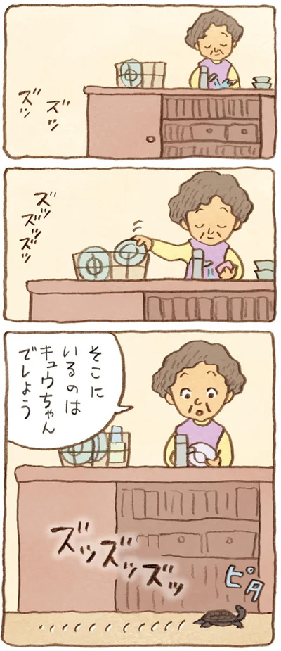 『おばあちゃんとかめ 何げに楽しい2匹とのくらし』より