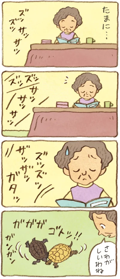 『おばあちゃんとかめ 何げに楽しい2匹とのくらし』より