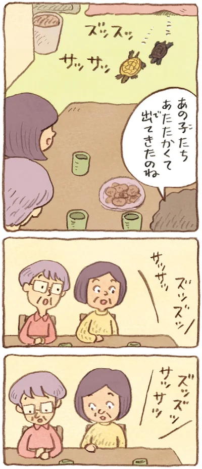 『おばあちゃんとかめ 何げに楽しい2匹とのくらし』より
