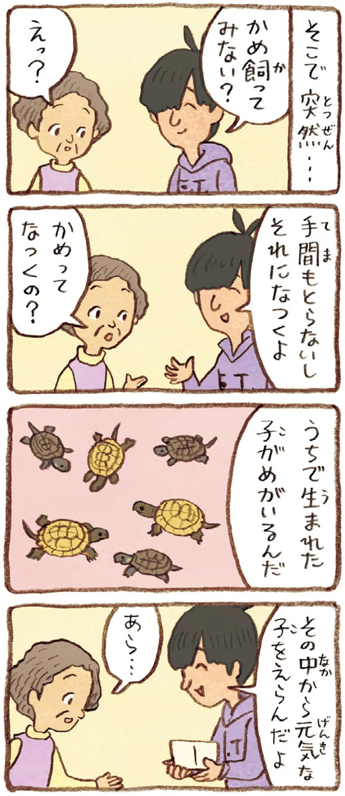 『おばあちゃんとかめ 何げに楽しい2匹とのくらし』より