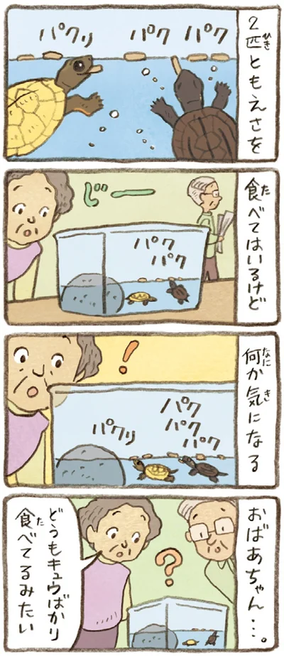 『おばあちゃんとかめ 何げに楽しい2匹とのくらし』より
