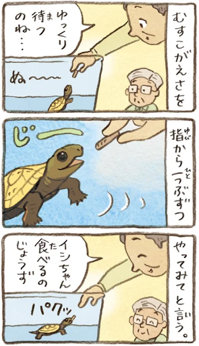『おばあちゃんとかめ 何げに楽しい2匹とのくらし』より