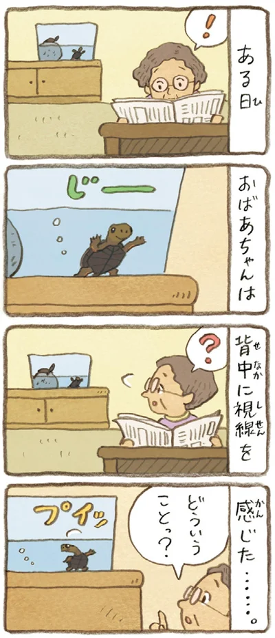 『おばあちゃんとかめ 何げに楽しい2匹とのくらし』より