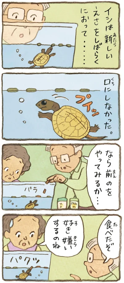 『おばあちゃんとかめ 何げに楽しい2匹とのくらし』より