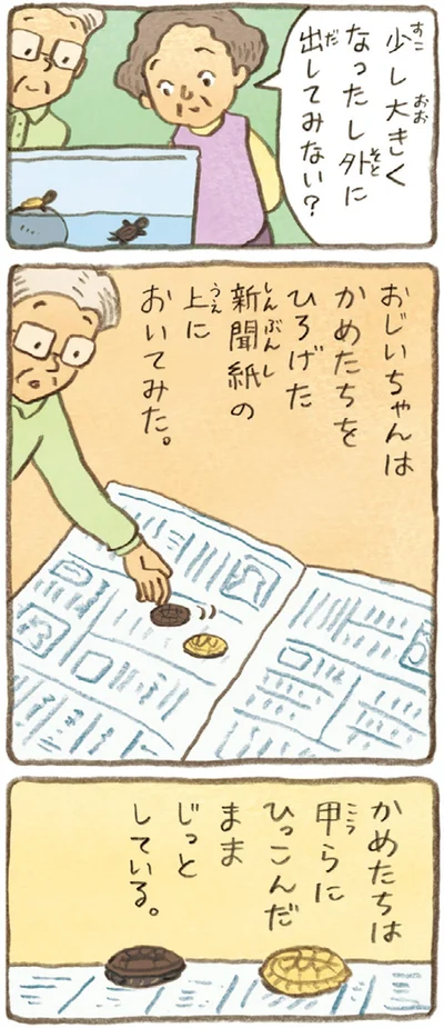 『おばあちゃんとかめ 何げに楽しい2匹とのくらし』より