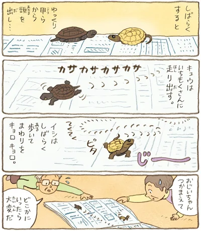 『おばあちゃんとかめ 何げに楽しい2匹とのくらし』より