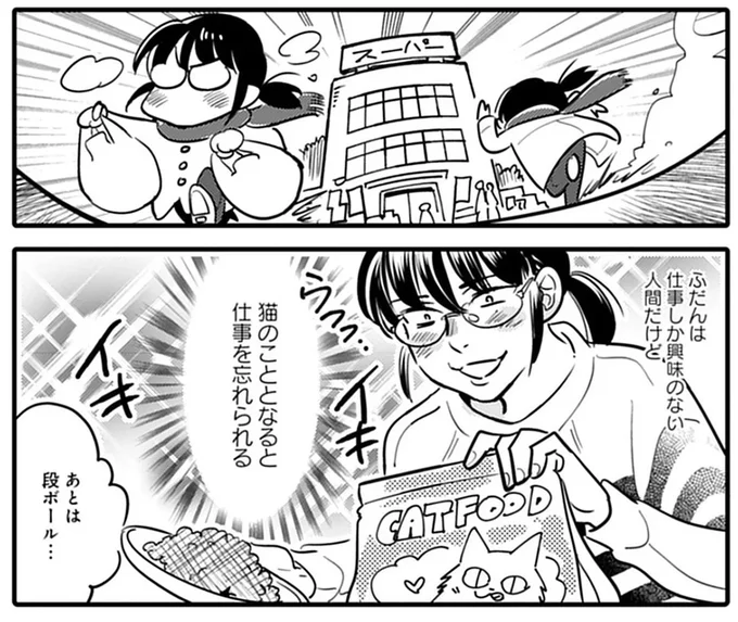 猫のこととなると仕事を忘れられる