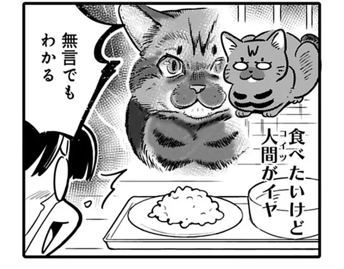ベランダに居つくようになった野良猫。ご飯は欲しいけど人間は嫌い？／ブリちゃん日記（2）