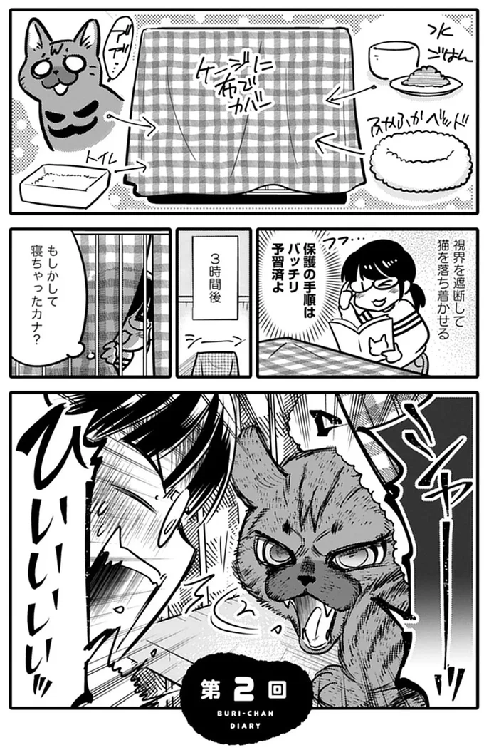 ケージに布でカバー