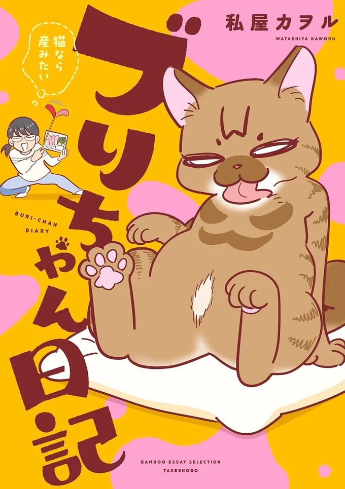 『ブリちゃん日記 猫なら産みたい』