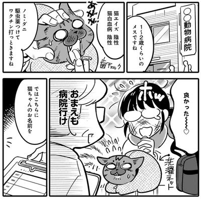 1～2歳くらいのメスですね