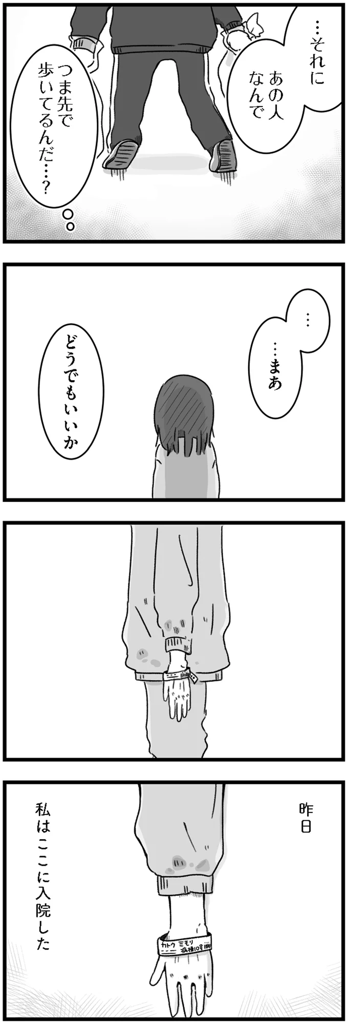 『精神科病棟の青春 あるいは高校時代の特別な1年間について』より