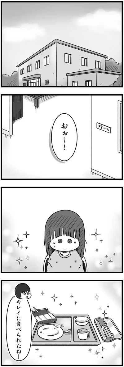 『精神科病棟の青春 あるいは高校時代の特別な1年間について』より