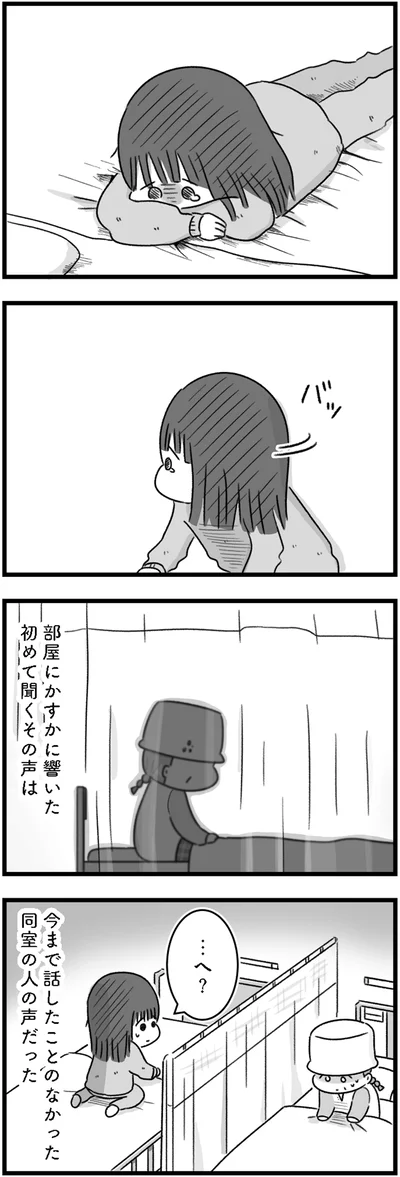 『精神科病棟の青春 あるいは高校時代の特別な1年間について』より