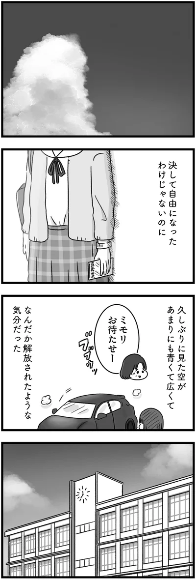 『精神科病棟の青春 あるいは高校時代の特別な1年間について』より