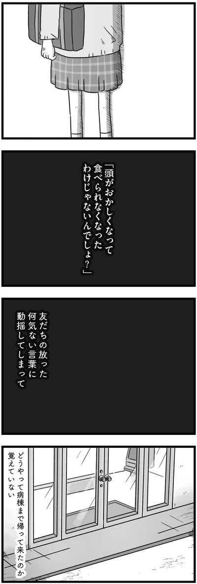 『精神科病棟の青春 あるいは高校時代の特別な1年間について』より