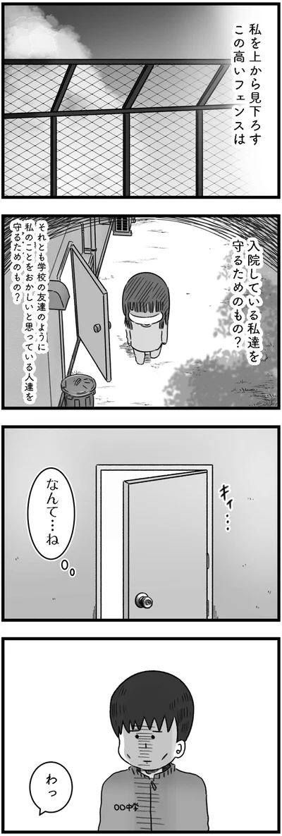 『精神科病棟の青春 あるいは高校時代の特別な1年間について』より