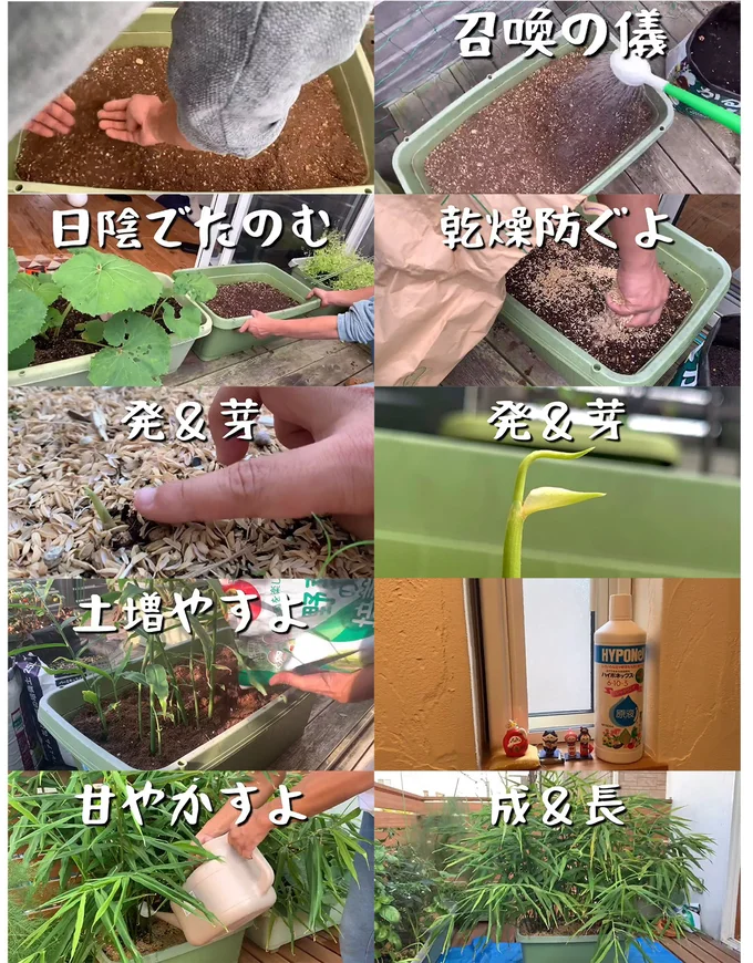 召喚の儀式▶︎成長の軌跡（⇒次へ）