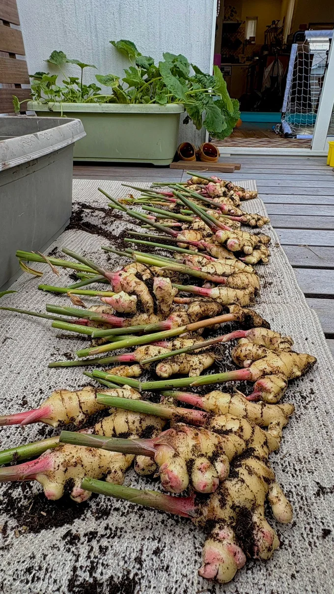 この成果は喜ばしい！▶︎別アングルでも（⇒次へ）