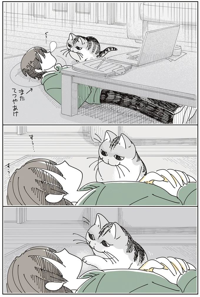 『夜は猫といっしょ8』より