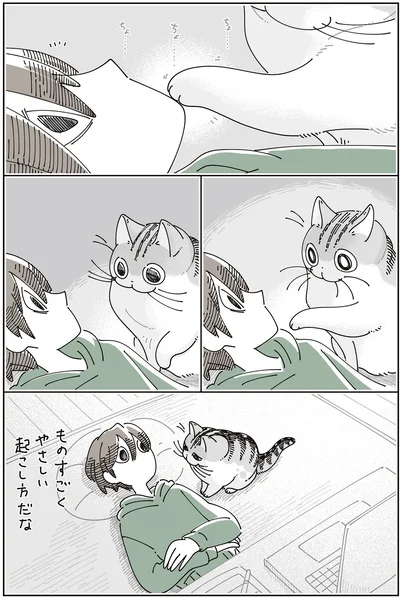 『夜は猫といっしょ8』より