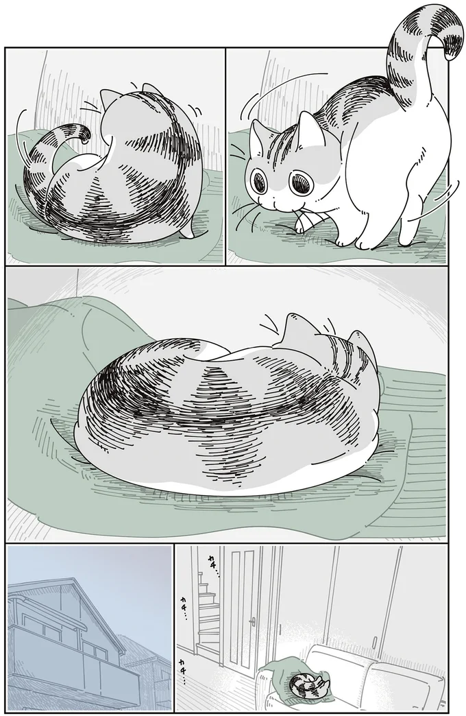 『夜は猫といっしょ8』より