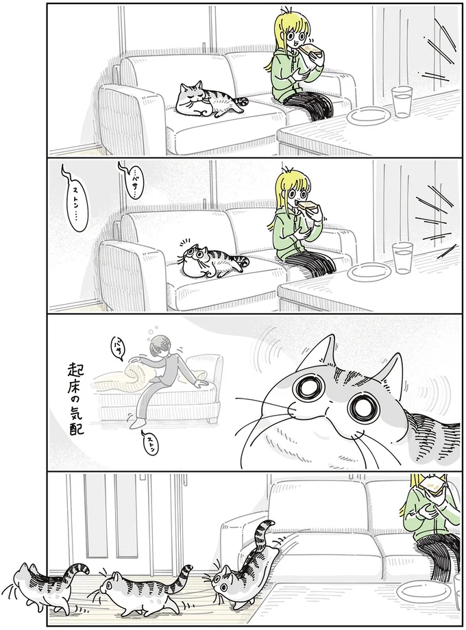 『夜は猫といっしょ8』より