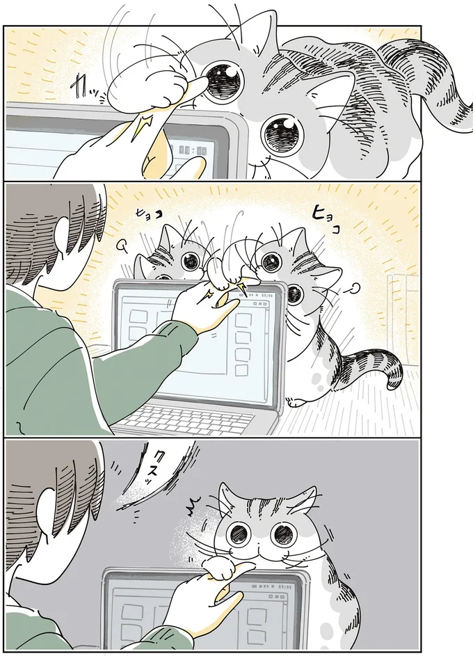 『夜は猫といっしょ8』より