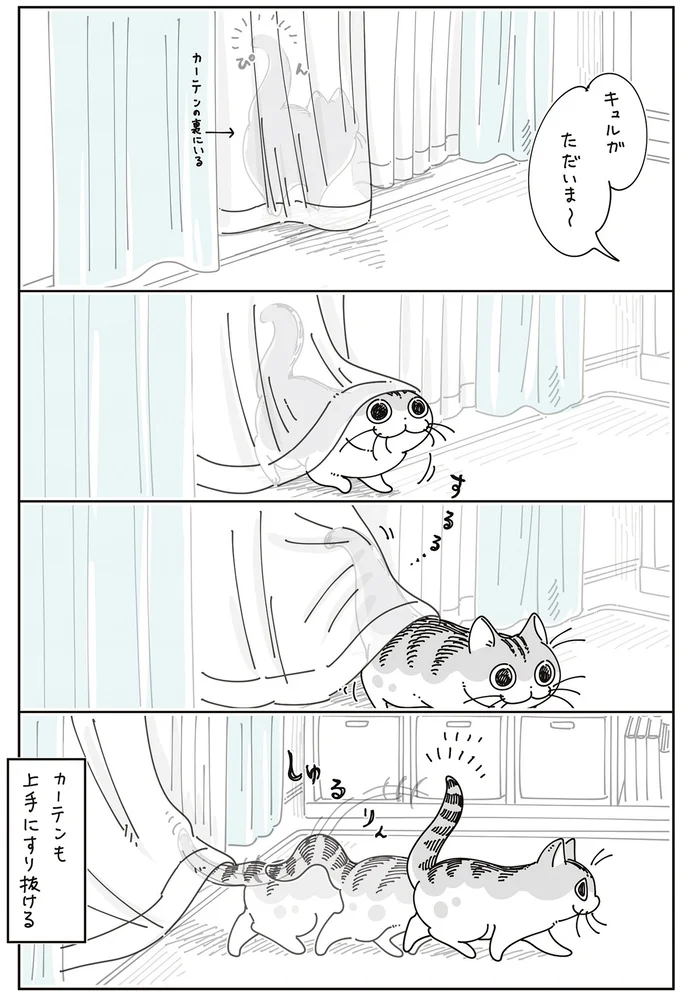 『夜は猫といっしょ8』より