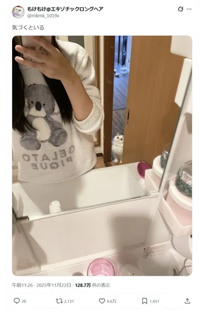 気づくといる▶甘えん坊のもけもけちゃんが落ち着く場所は？（⇒次へ）