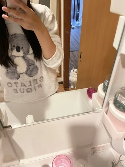 飼い主さんに熱い視線を送るもけもけちゃん▶圧倒的目力に驚く人続出で8.6万いいね！（⇒次へ）