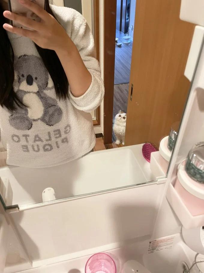 飼い主さんに熱い視線を送るもけもけちゃん▶圧倒的目力に驚く人続出で8.6万いいね！（⇒次へ）