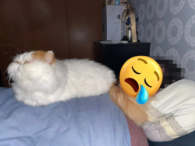 「パパの上が1番落ち着く～」幸せが溢れる表情が可愛らしい！▶パパさんがいないときは…（⇒次へ）