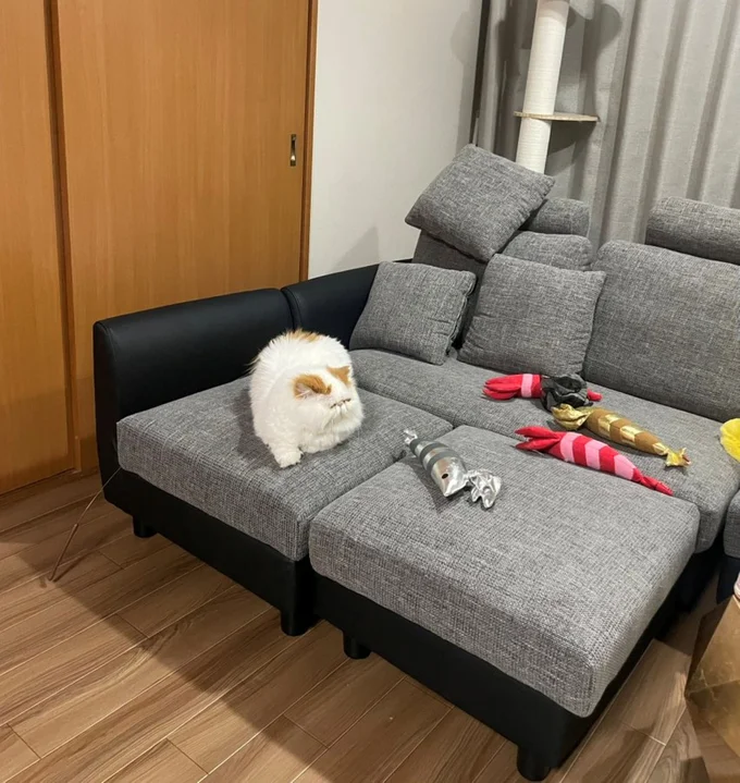 たくさんのエビに囲まれるもけもけちゃん▶豪快な…〇〇〇！（⇒次へ）