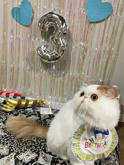 3歳のお誕生日！▶ごはんの圧が…（⇒次へ）