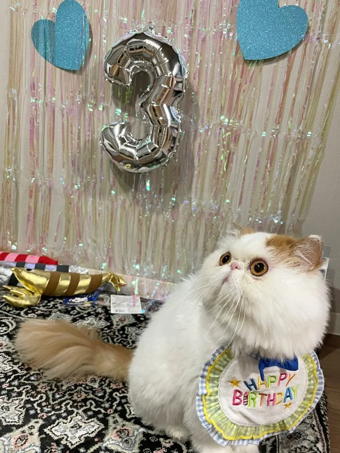 3歳のお誕生日！▶ごはんの圧が…（⇒次へ）