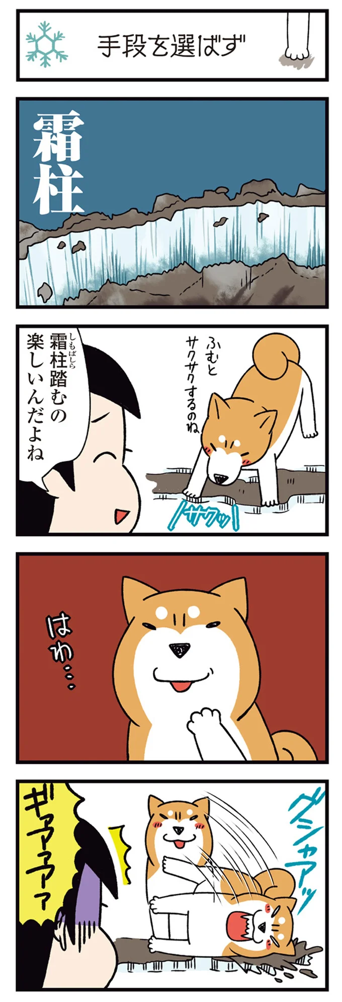 『ドヤ顔柴犬どんぐり2』より