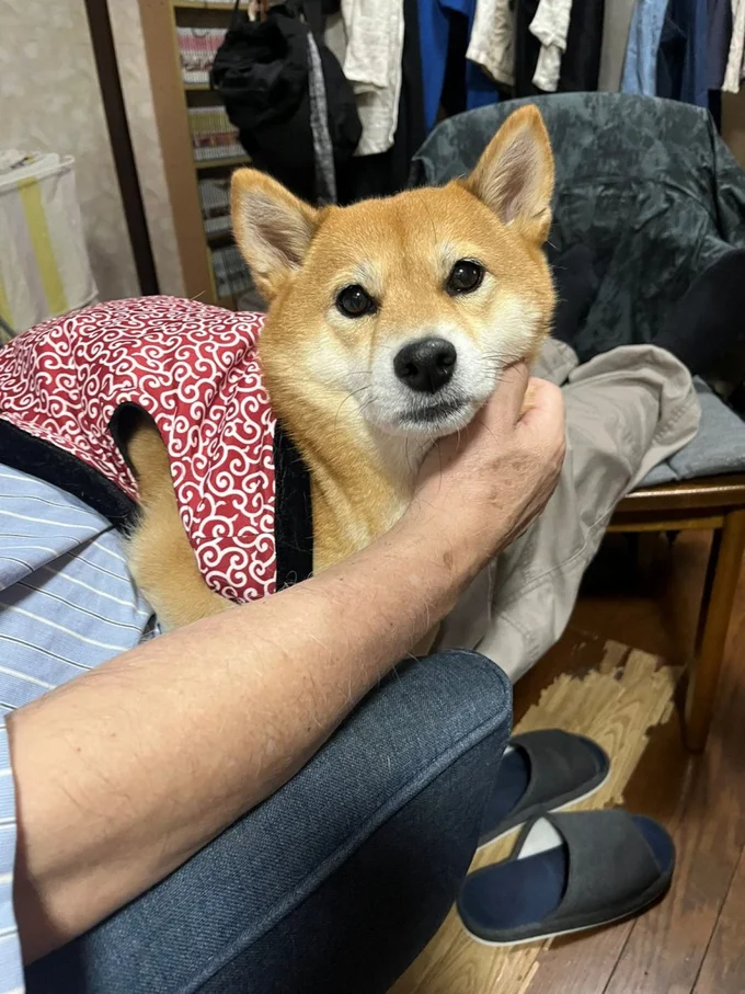 普段はとっても仲良しなんだそう！▶「いい顔してる！」（⇒次へ）