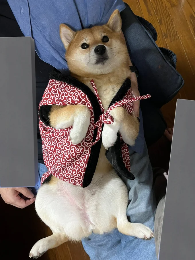 「パパに甘えてるのバレた！！の顔」▶あからさまに嫌そうな顔…（⇒次へ）