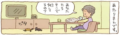 あなたたちそこで何してるの？