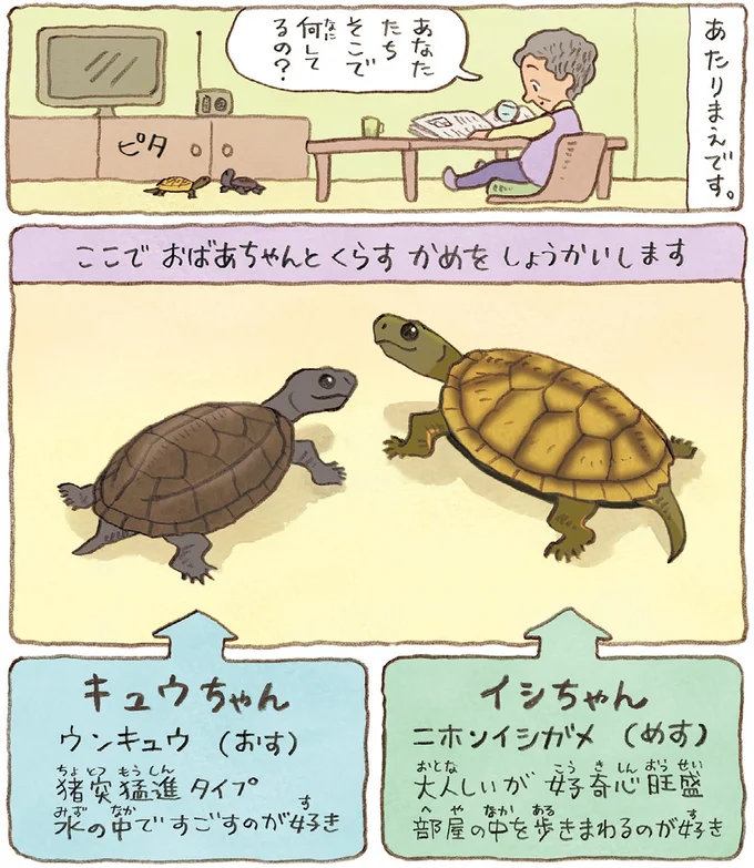 あたりまえです