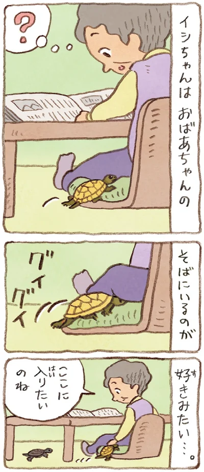 ここに入りたいのね
