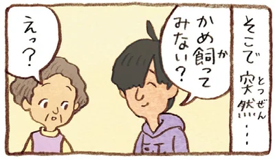 かめ飼ってみない？