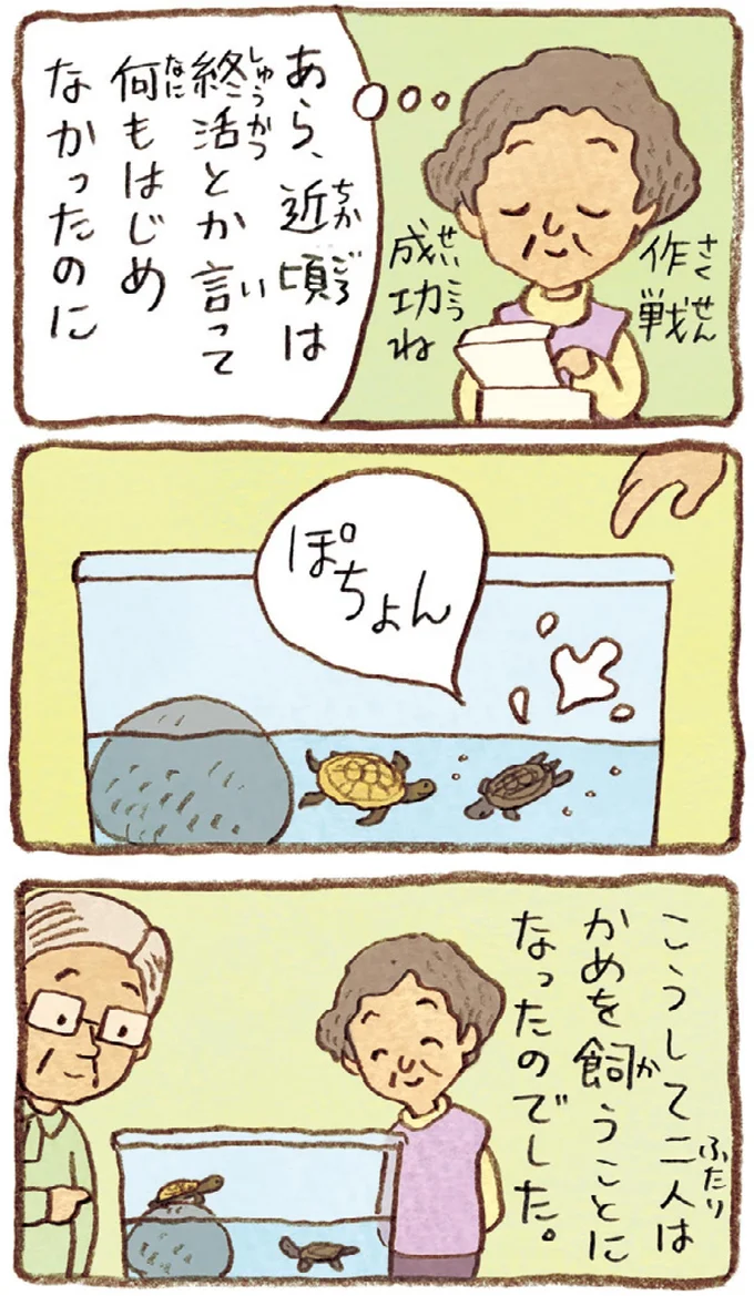 こうして二人はかめを飼うことになったのでした