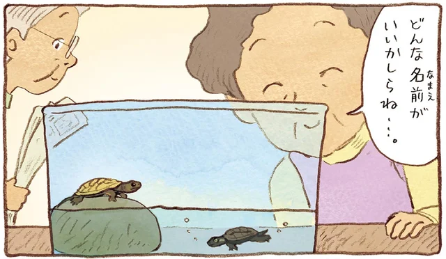 「どんな名前がいいかしら」おばあちゃんが子ガメたちにつけた名前の由来