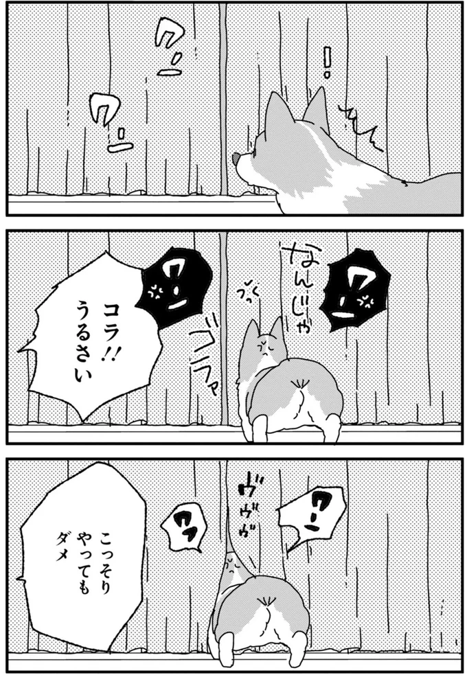 『あしょんでよッ〜うちの犬ログ〜2』より