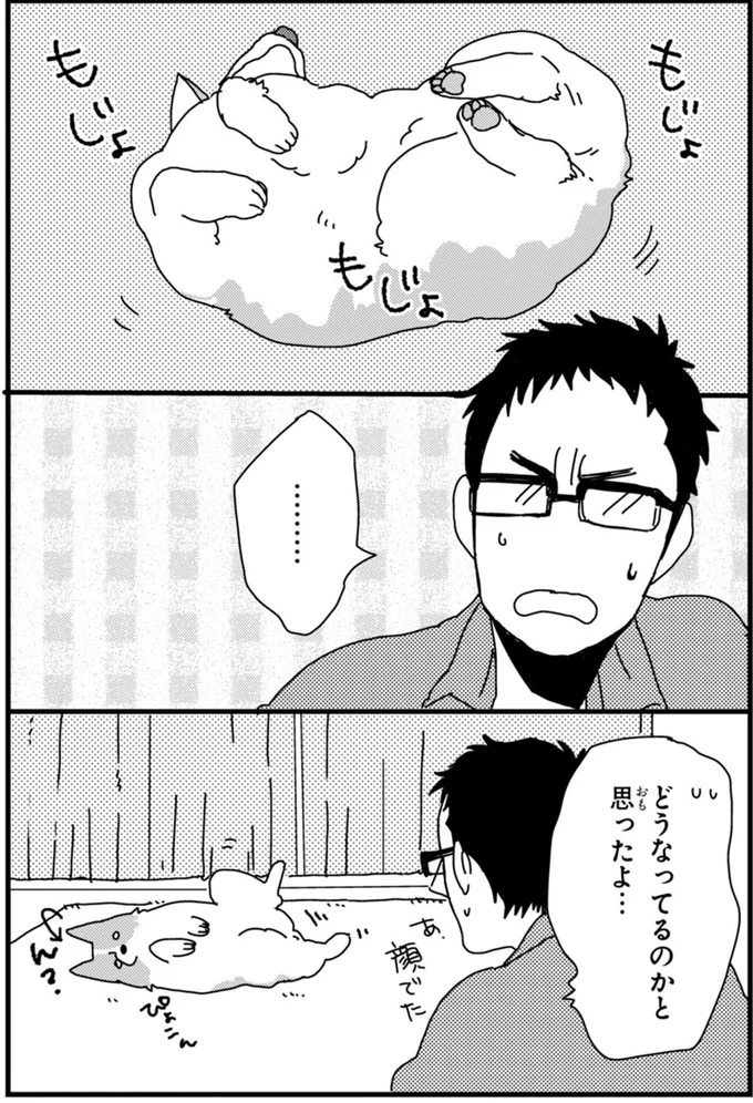 『あしょんでよッ〜うちの犬ログ〜2』より