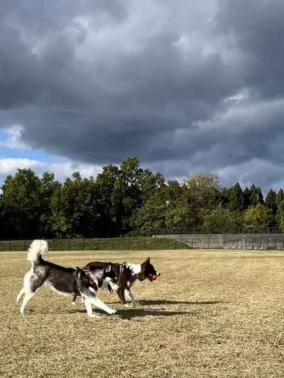 心が洗われますね！▶たくさん動いたら（⇒次）