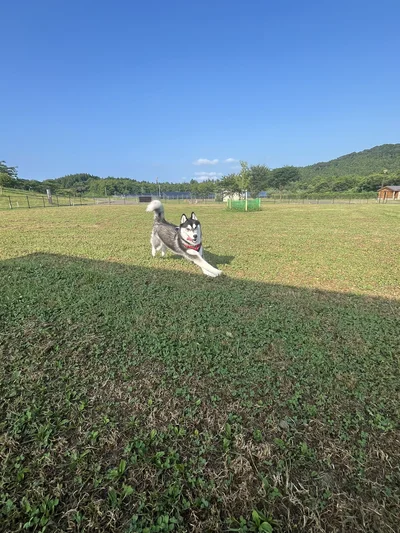 またまたお外を元気いっぱい駆け回る！▶遊んだら、水分補給も忘れずに！（⇒次）