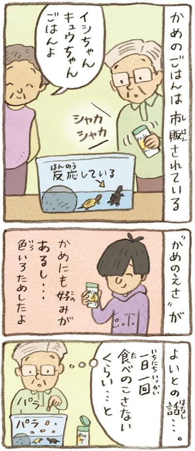 ごはんよ
